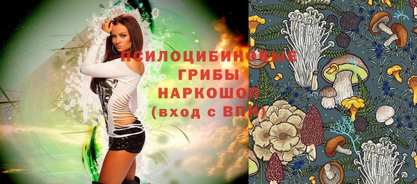 PSILOCYBIN Бронницы