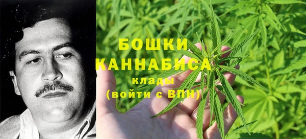 PSILOCYBIN Бронницы